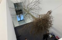 glaserei-becker-referenzen-25-glas-spiegel-7
